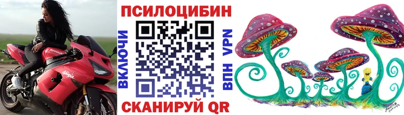 купить  сайты  гидра рабочий сайт  Галлюциногенные грибы Cubensis  Нижнеудинск 